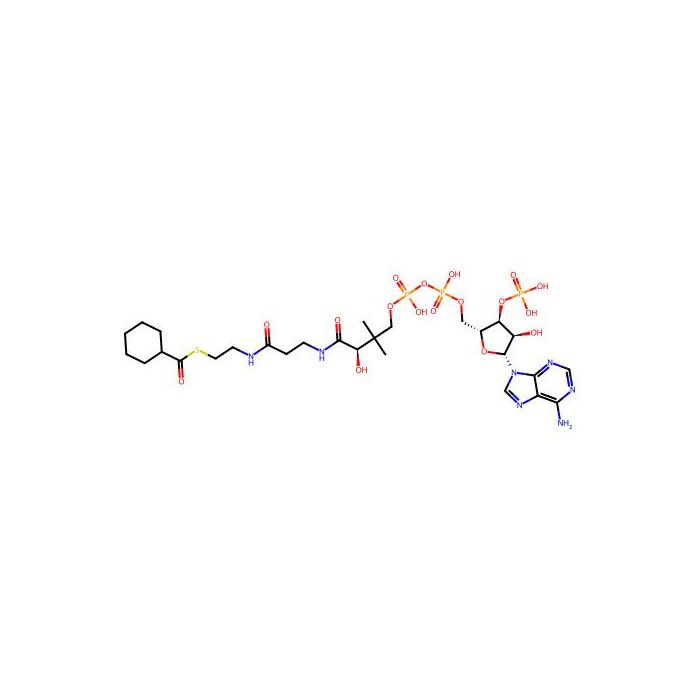 cyclohexane-1-carbonyl-CoA -  CAS No(5960-12-3) by Aladdin Scientific