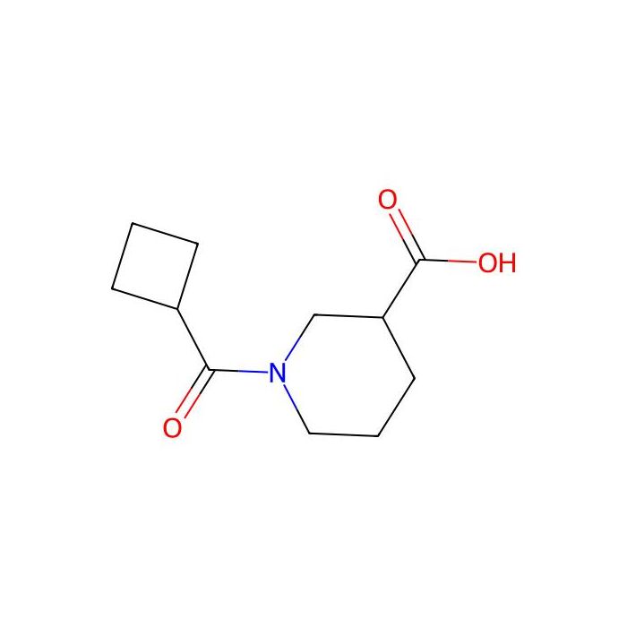 1-(Cyclobutylcarbonyl)-3-piperidinecarboxylic acid - ≥95% CAS No(926214-73-5) by Aladdin Scientific