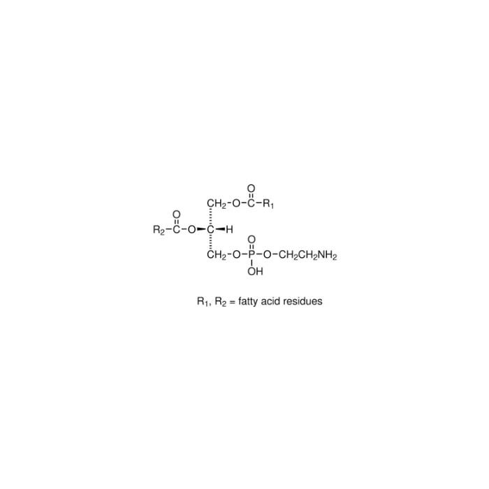 Cephalin - ≥98%,50 mg/mL in chloroform，from the brain of cattle CAS No(90989-93-8) by Aladdin Scientific