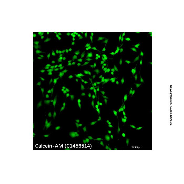 Calcein AM solution - BioReagent, for microscopy, Biological Stain, Suitable for Immunofluorescence(IF), for fluorescence analysis, for cell culture, sterile-filtered, 2 mM in DMSO CAS No(148504-34-1) by Aladdin Scientific