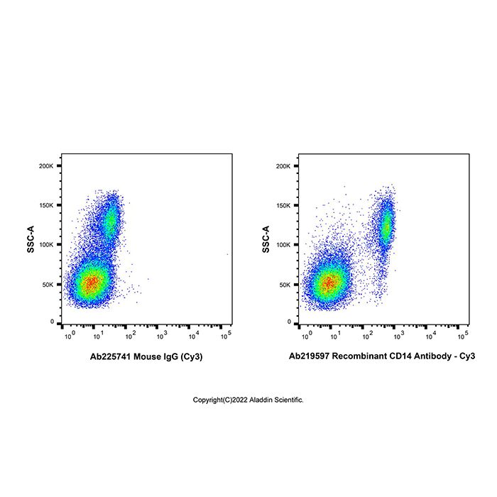 Cy3 Antibody Labeling Kit