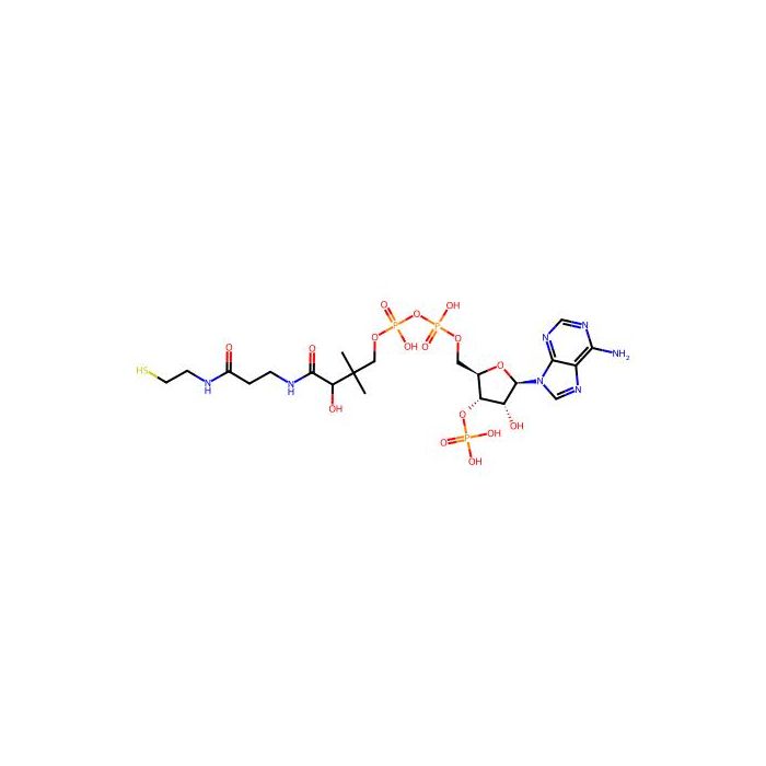 Coenzyme A - Moligand™, 10 mM in DMSO CAS No(85-61-0) by Aladdin Scientific