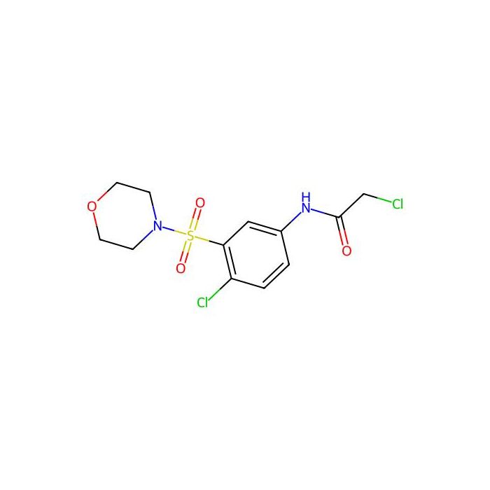 2-chloro-N-[4-chloro-3-(morpholine-4-sulfonyl)phenyl]acetamide -  CAS No(379254-82-7) by Aladdin Scientific