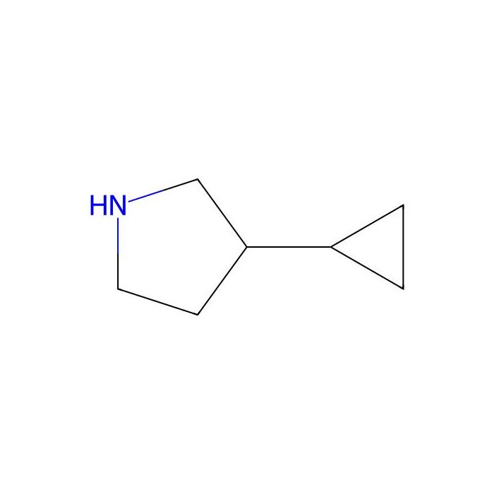3-cyclopropylpyrrolidine - ≥97% CAS No(1250004-31-9) by Aladdin Scientific