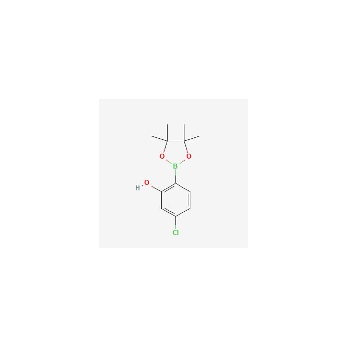5-Chloro-2-(4,4,5,5-tetramethyl-1,3,2-dioxaborolan-2-yl)phenol - ≥97% CAS No(1377503-12-2) by Aladdin Scientific
