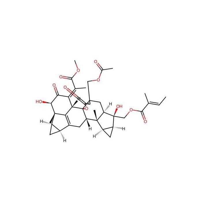 Chlorahololide D -  CAS No(943136-39-8) by Aladdin Scientific