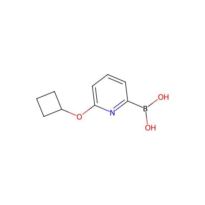 (6-Cyclobutoxypyridin-2-yl)boronic acid - ≥95% CAS No(1310404-90-0) by Aladdin Scientific