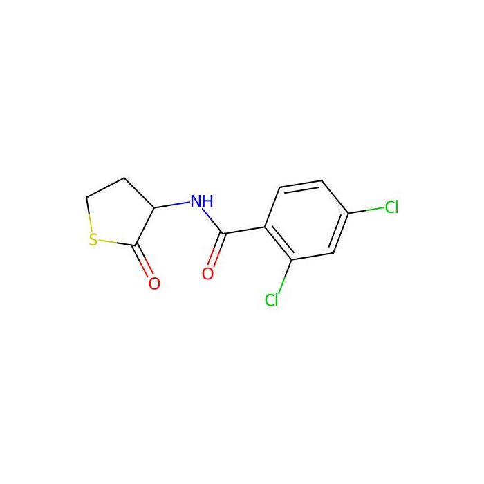 2,4-Dichloro-N-(tetrahydro-2-oxo-3-thienyl)benzamide -  CAS No(321521-86-2) by Aladdin Scientific