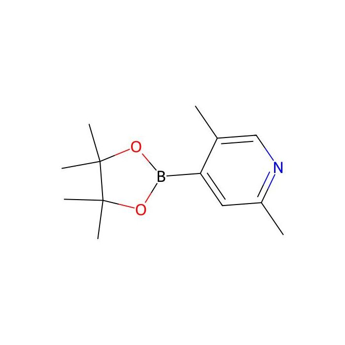 2,5-Dimethyl-4-(4,4,5,5-tetramethyl-1,3,2-dioxaborolan-2-yl)pyridine - ≥97% CAS No(1309443-99-9) by Aladdin Scientific
