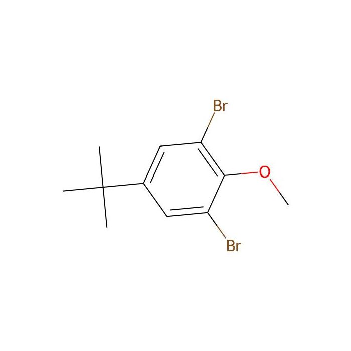 2,6-Dibromo-4-tert-butylanisole - ≥95% CAS No(132268-08-7) by Aladdin Scientific