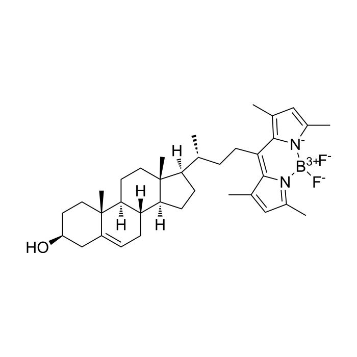 BODIPY-Cholesterol - BioReagent,Biological Stain,for fluorescence analysis,for microscopy,≥97% CAS No(878557-19-8) D130271 by Aladdin Scientific