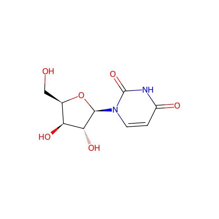 1-(β-D-Xylofuranosyl)uracil -  CAS No(16535-78-7) by Aladdin Scientific