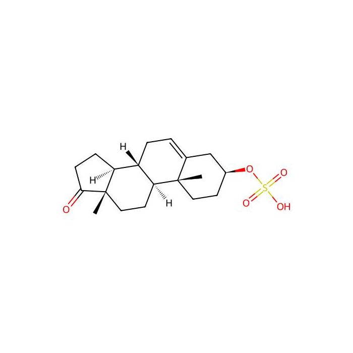 Dehydroepiandrosterone sulfate - Moligand™, 10 mM in DMSO CAS No(651-48-9) by Aladdin Scientific