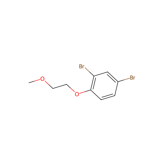 2,4-Dibromo-1-(2-methoxyethoxy)benzene - ≥98% CAS No(1257665-05-6) by Aladdin Scientific