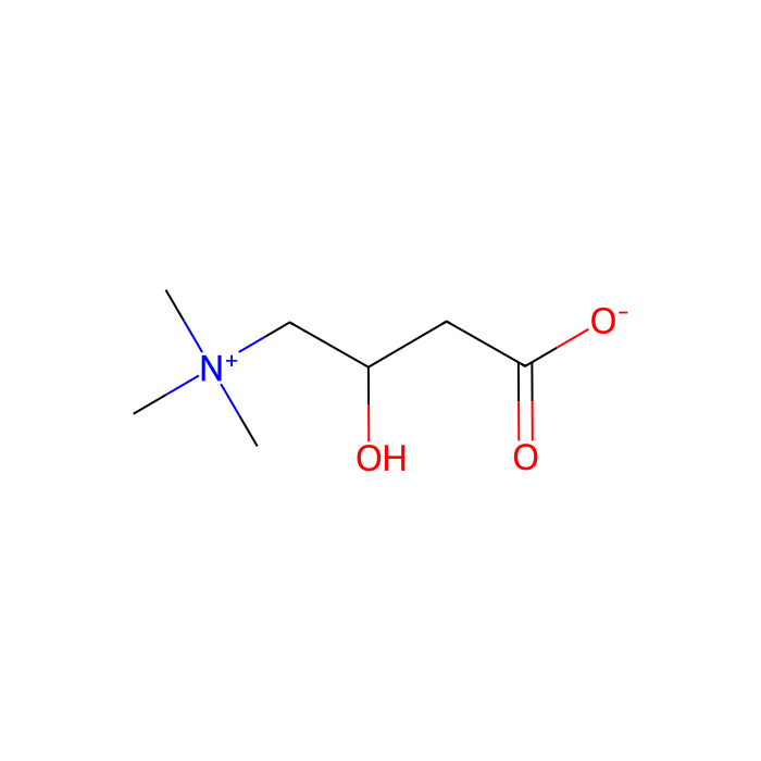 DL-Carnitine - 10mM in DMSO CAS No(461-06-3) by Aladdin Scientific