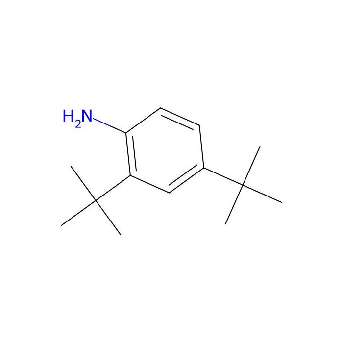 2,4-Di-tert-butylaniline - ≥98% CAS No(2909-84-4) by Aladdin Scientific