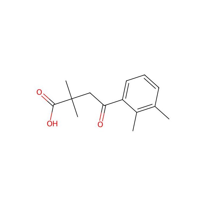 2,2-Dimethyl-4-(2,3-dimethylphenyl)-4-oxobutyric acid -  CAS No(146645-55-8) by Aladdin Scientific
