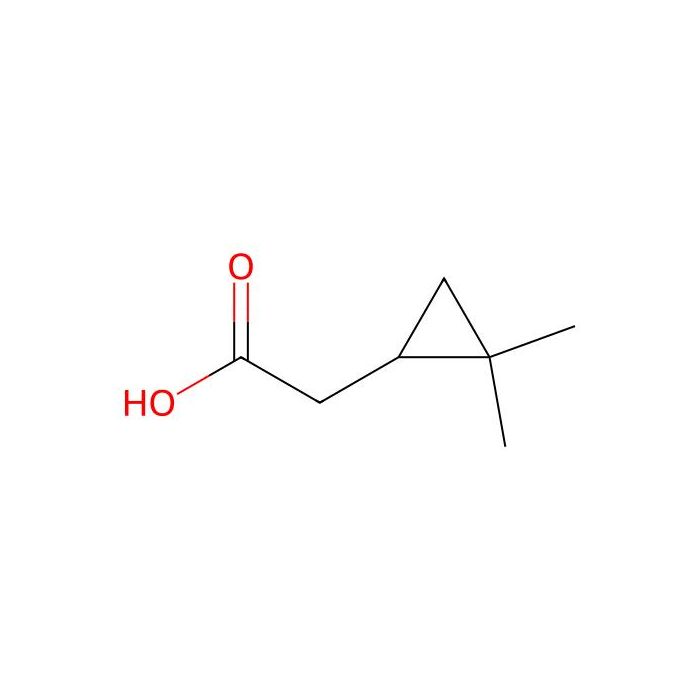 2-(2,2-Dimethylcyclopropyl)acetic acid - ≥98% CAS No(68258-20-8) by Aladdin Scientific