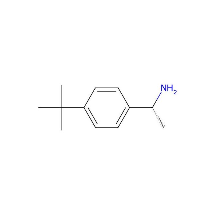 (R)-1-(4-tert-Butylphenyl)ethanamine - ≥95% CAS No(511256-38-5) by Aladdin Scientific