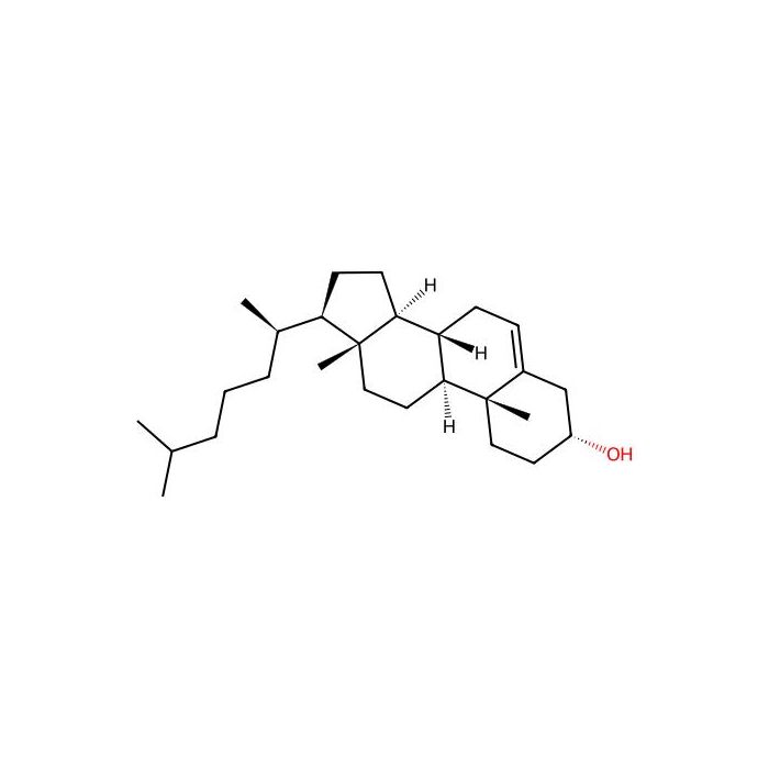 EPICHOLESTEROL - ≥97% CAS No(474-77-1) by Aladdin Scientific
