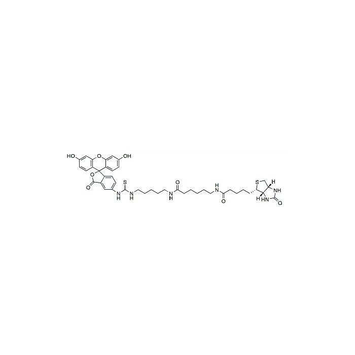 Fluorescein biotin [5-((N-(5-(N-(6-(biotinoyl)amino)hexanoyl)amino)pentyl)thioureidyl)fluorescein] - ≥90% CAS No(134759-22-1) by Aladdin Scientific