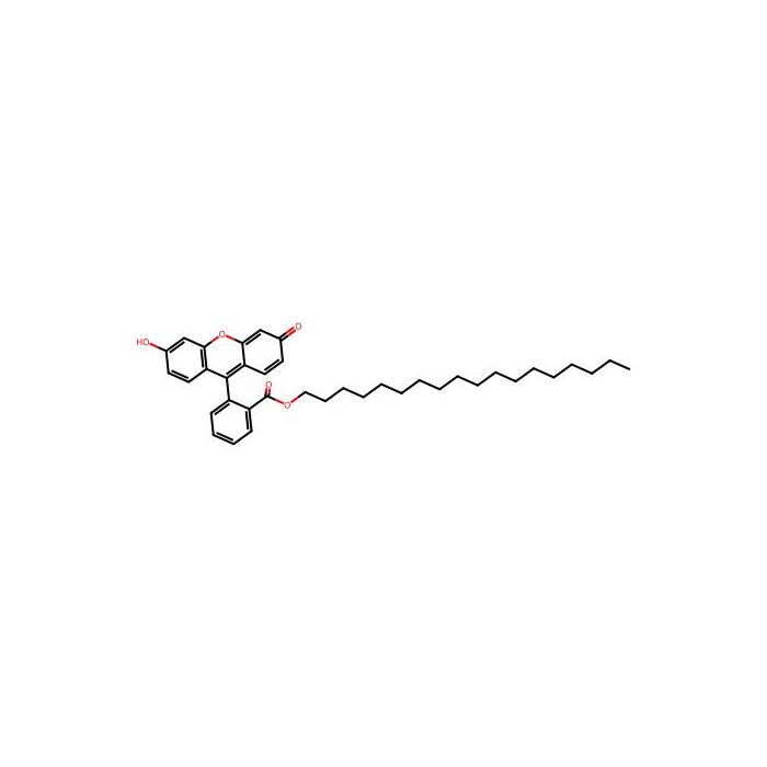Fluorescein octadecyl ester -  CAS No(138833-46-2) by Aladdin Scientific