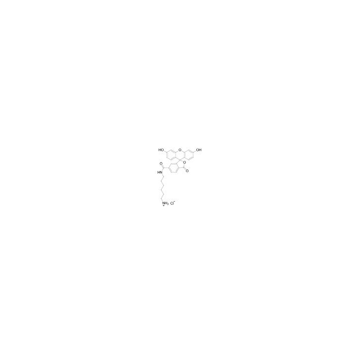FAM amine, 6-isomer - ≥95% CAS No(2183440-42-6) by Aladdin Scientific