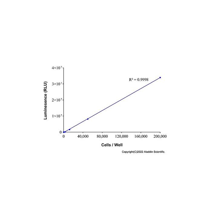 Bio FIREFLYGLO luciferase reporter gene detection kit