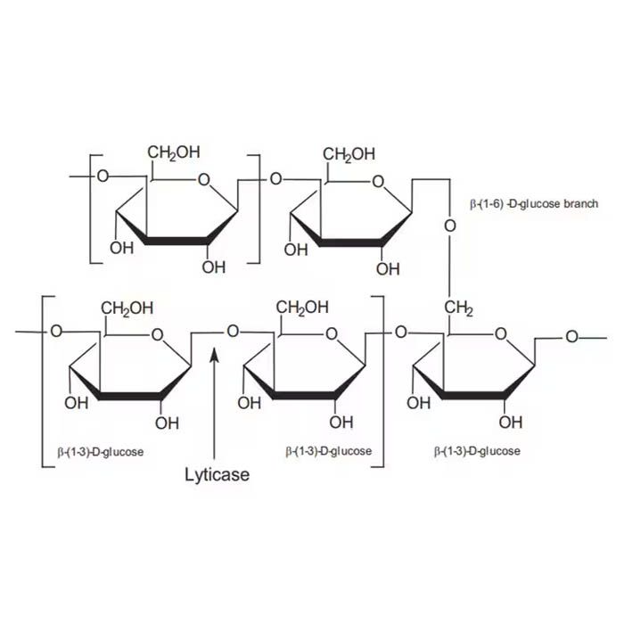 β-Glucan - Derived from brewing yeast, with a content of ≥80% CAS No(9012-72-0) by Aladdin Scientific