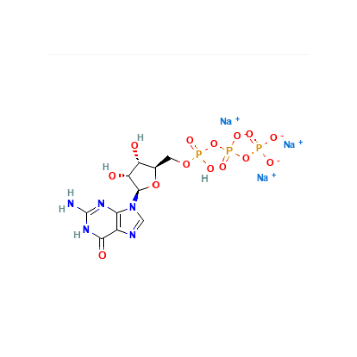 GTP Trisodium salt Solution - pharmaceutical grade, PharmPure™, ≥99%, 10mM CAS No(36051-31-7) by Aladdin Scientific
