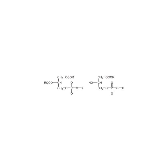 Hydrogenated Lecithin - 25-30% phosphatidylcholine (PC) CAS No(92128-87-5) by Aladdin Scientific