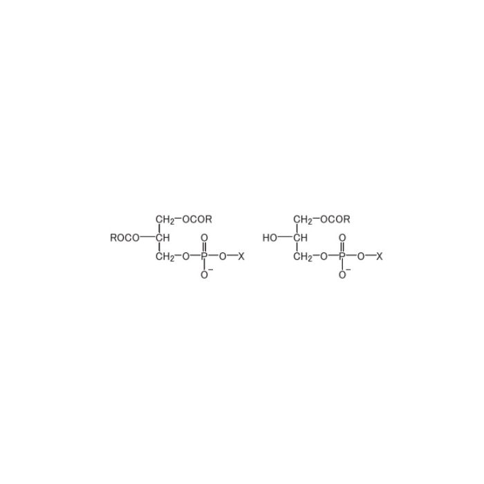 Hydrogenated Soybean Phospholipids - 75-85% phosphatidylcholine (PC) CAS No(92128-87-5) by Aladdin Scientific