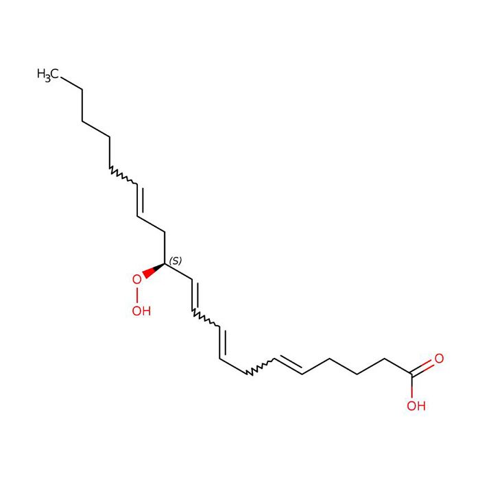 12(S)-HPETE - Moligand™,≥98%,100 μg/ml in ethanol CAS No(71774-10-2) H336047 by Aladdin Scientific