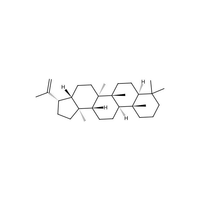 Hop-22(29)-ene solution - 0.1 mg/mL in isooctane CAS No(1615-91-4) by Aladdin Scientific
