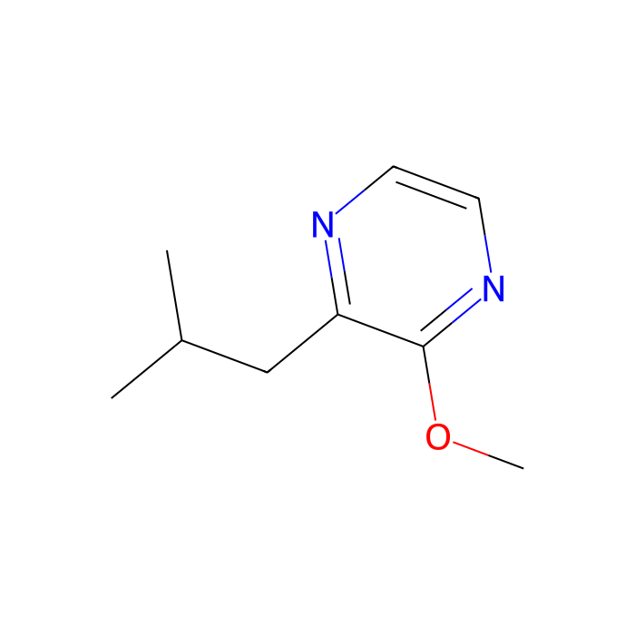 2-Isobutyl-3-methoxypyrazine - ≥99% CAS No(24683-00-9) by Aladdin Scientific