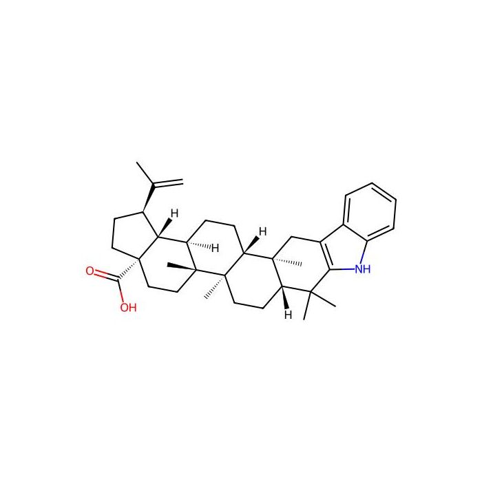 2,3-Indolobetulonic acid -  CAS No(905837-93-6) by Aladdin Scientific