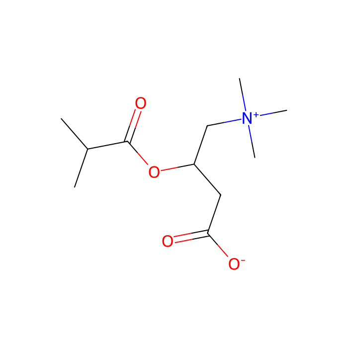 Isobutyryl-L-carnitine - ≥96% CAS No(25518-49-4) by Aladdin Scientific