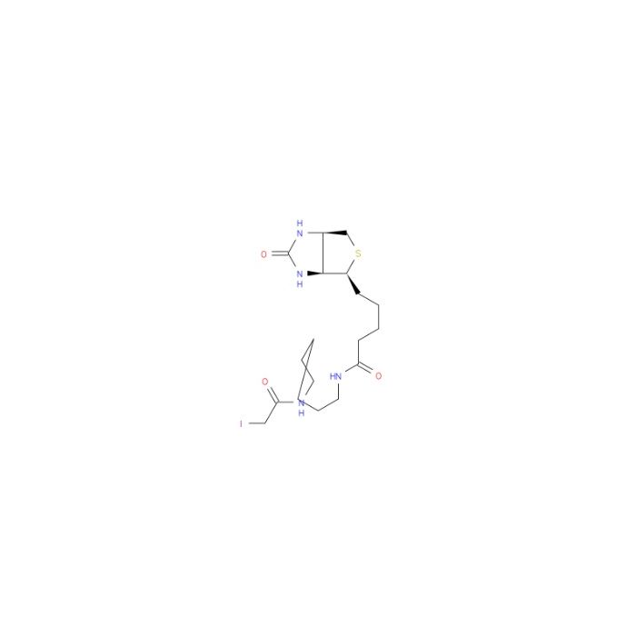 Iodoacetyl-LC-Biotin - ≥97% CAS No(93285-75-7) by Aladdin Scientific