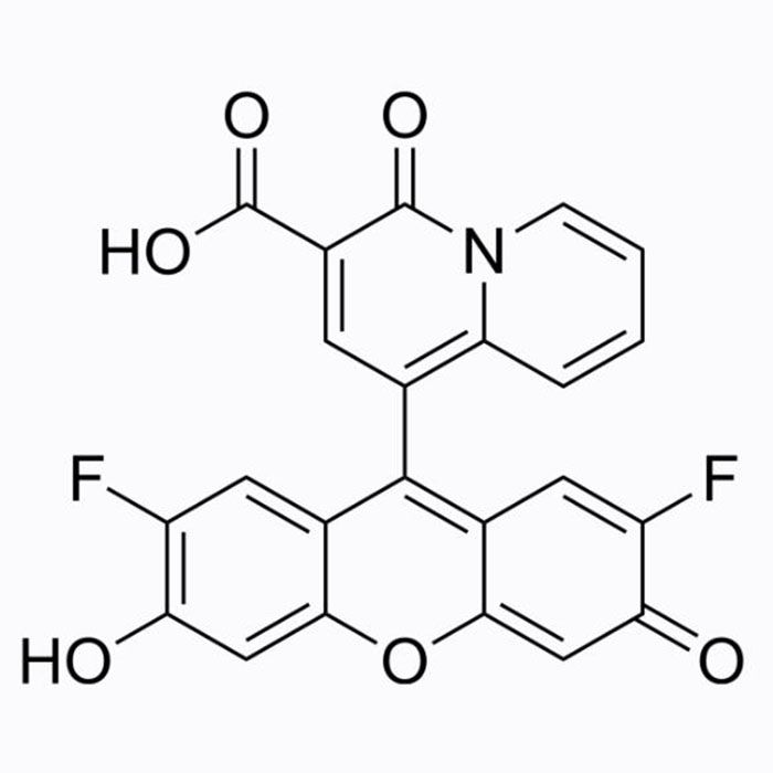 KMG-104 (Magnesium Ion Fluorescent Probe) - BioReagent, Biological Stain, for fluorescence analysis, for microscopy, ≥95% CAS No(852057-94-4) K1454969 by Aladdin Scientific