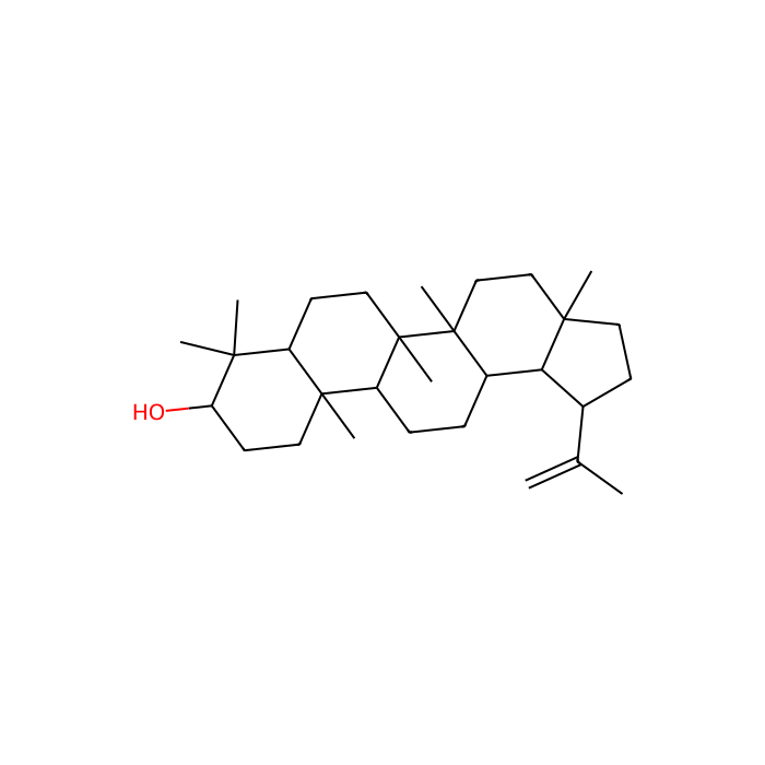 Lupeol - ≥95% CAS No(545-47-1) by Aladdin Scientific