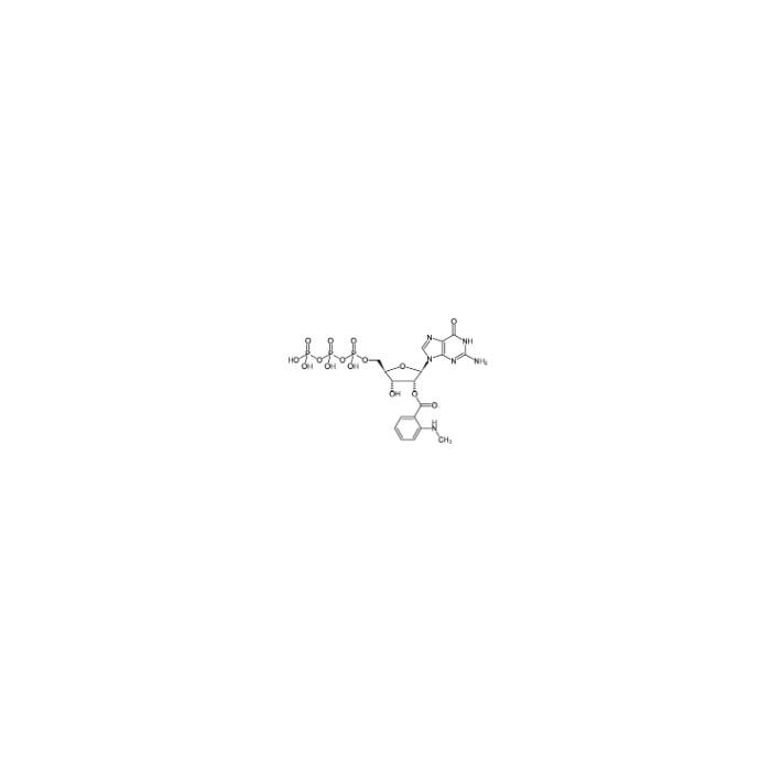 Mant-GTP- Triethylammonium salt - ≥95%,~10 mM aqueous solution CAS No(148821-03-8) by Aladdin Scientific