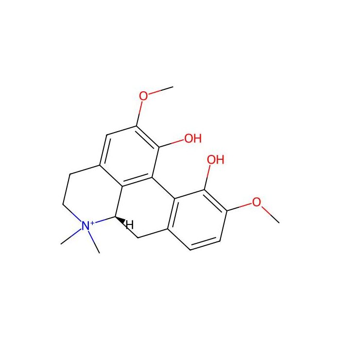 Magnoflorine - ≥98% CAS No(2141-09-5) by Aladdin Scientific