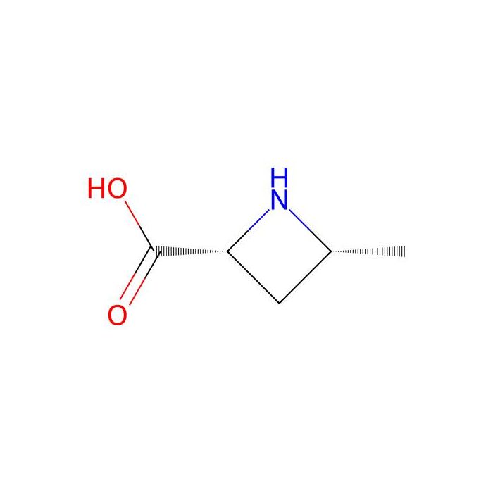 (2R,4R)-4-methylazetidine-2-carboxylic acid - ≥97% CAS No(2287347-25-3) by Aladdin Scientific