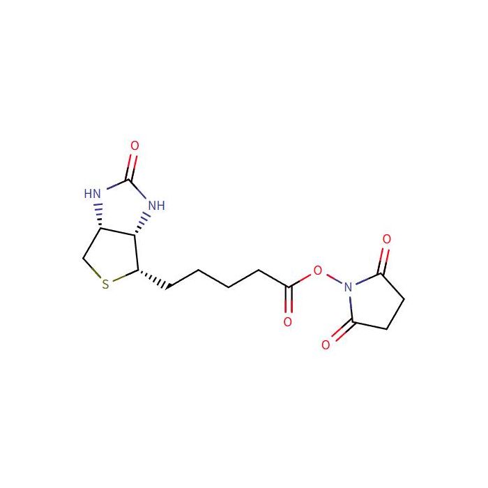 D-Biotin N-Succinimidyl Ester - ≥98% CAS No(35013-72-0) N103916 by Aladdin Scientific