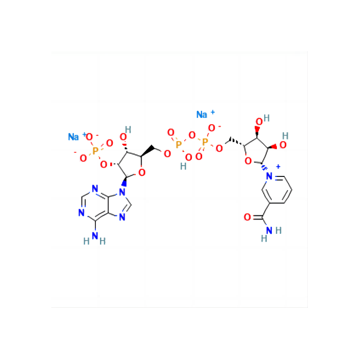 NADP, Disodium Salt - ≥97% CAS No(24292-60-2) by Aladdin Scientific