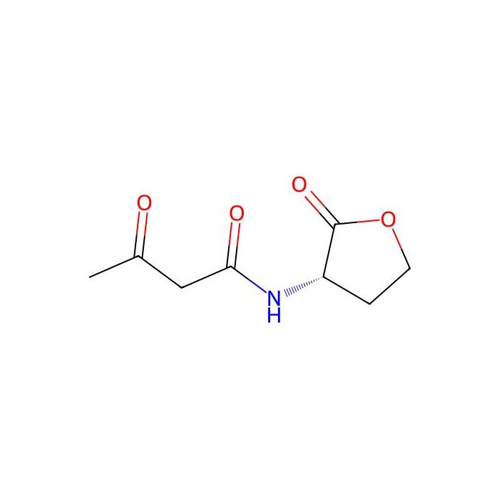 N-(3-Oxobutanoyl)-L-homoserine lactone -  CAS No(148433-27-6) by Aladdin Scientific