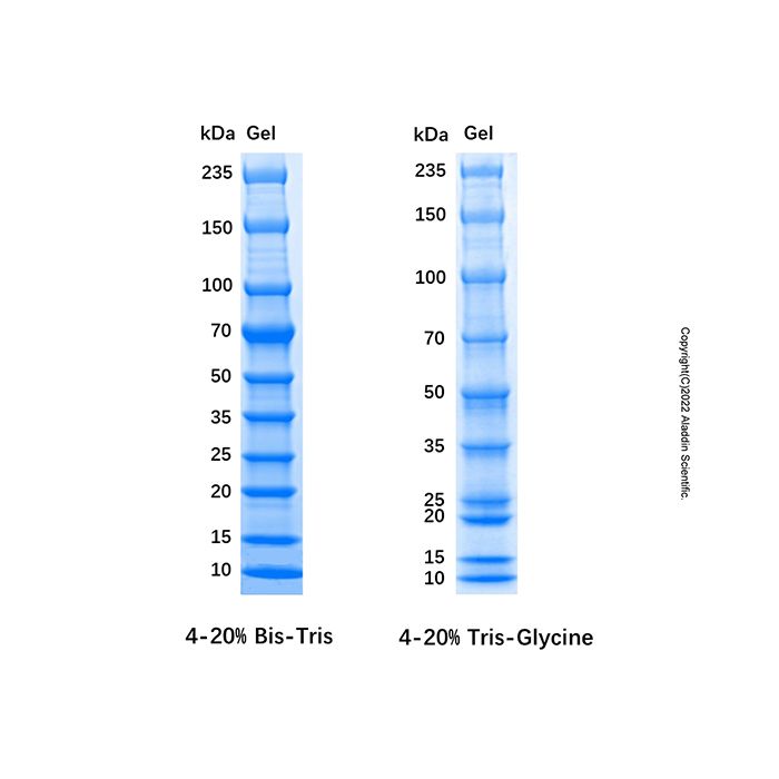 Unstained Protein MW Marker (10-235kDa) - for western blot, suitable for electrophoresis, 10-235kDa; 10/ 15/ 20/ 25/ 35/ 50/ 70/ 100/ 150/ 235kDa  by Aladdin Scientific