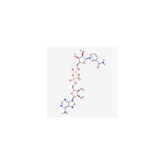β-Nicotinamide adenine dinucleotide(NAD) - ≥99.5% CAS No(53-84-9) by Aladdin Scientific