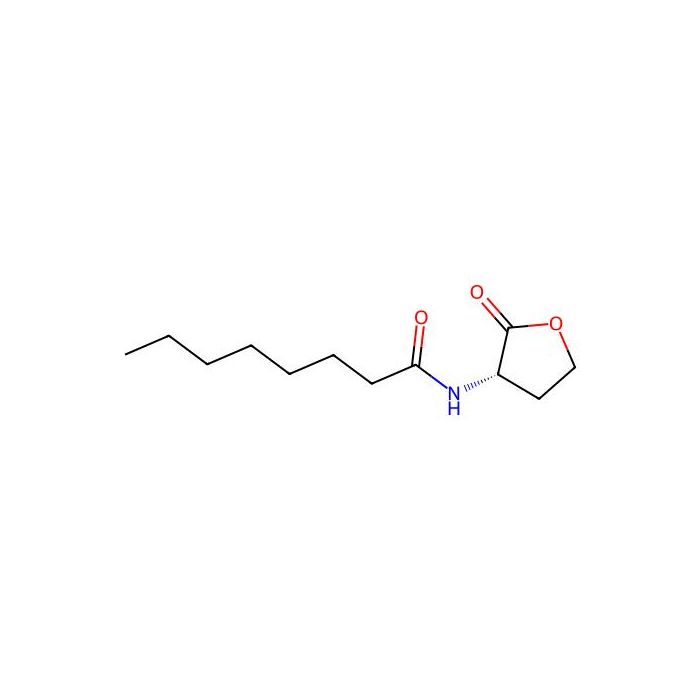 N-Octanoyl-L-homoserine lactone - Moligand™, 10 mM in DMSO CAS No(147852-84-4) by Aladdin Scientific