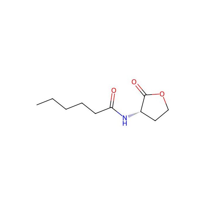 N-Hexanoyl-L-homoserine lactone - Moligand™, 10 mM in DMSO CAS No(147852-83-3) by Aladdin Scientific